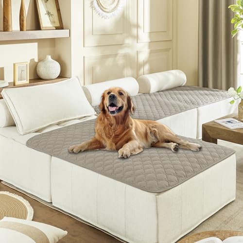 Waterproof Blanket for Dogs (40x50 Inch (Pack of 1) / Dark Stone)