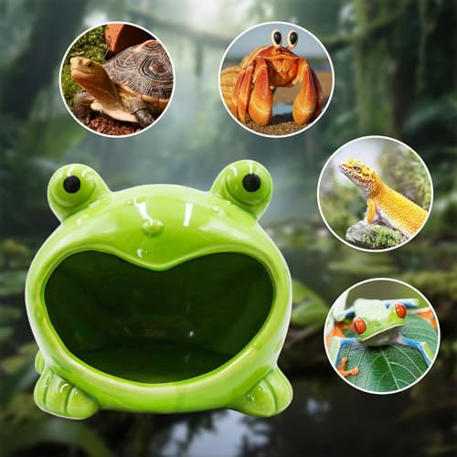 Reptile Tank Accessories
