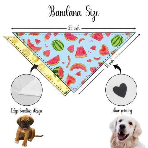 2 Pack Summer Dog Bandanas (G)