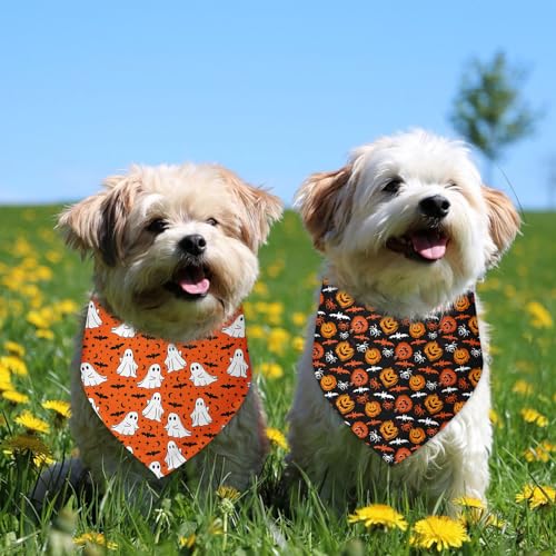 Halloween Dog Bandana 2 Pack (D)