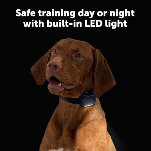 Core Dog Trainer Remote Collar (1-Dog Trainer)