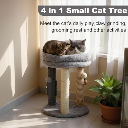 4in1 Small Cat Tree (For indoor cats and kittens / Gray)