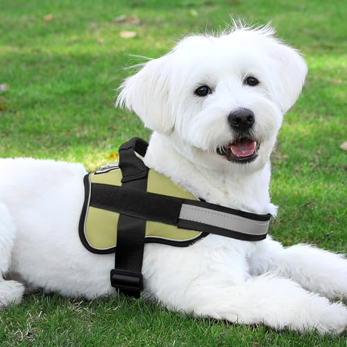 Dog Harness No (Medium (Pack of 1) / Matcha)