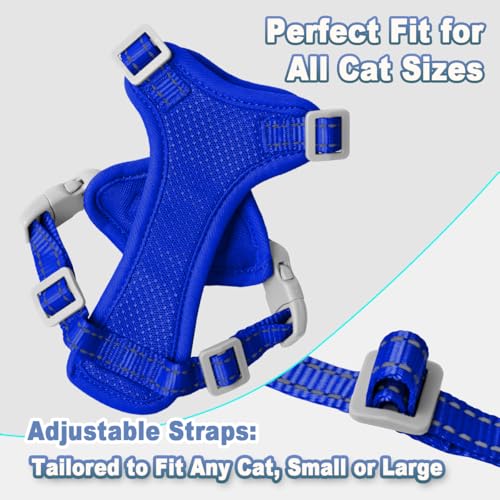 Cat Harness and Leash Set Escape Proof for Kitten Walking (Small / Sapphire Blue)