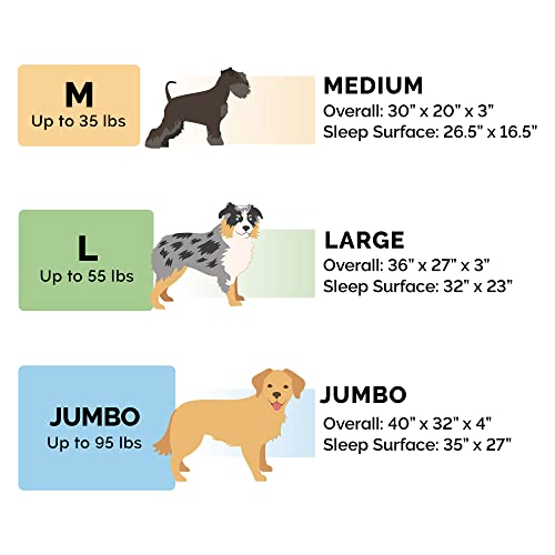 Cooling Gel Dog Bed for Large (Large / (Quilted Paw) Titanium)