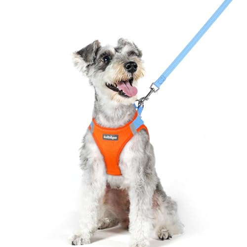 Dog Harness Medium Sized and Leash Set (Blue & Orange / Xl (chest: 20 - 21.8"))