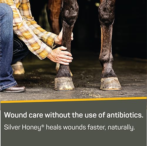 Silver Honey Rapid Wound Repair First Aid Spray Gel (8 Ounce)