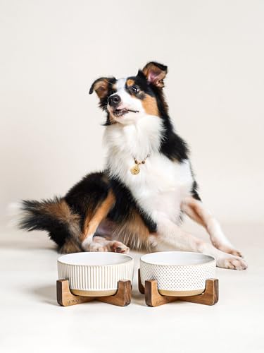 Ceramic Dog Bowls for Medium Large Dogs (L-5 Cups / Lines+Dot)