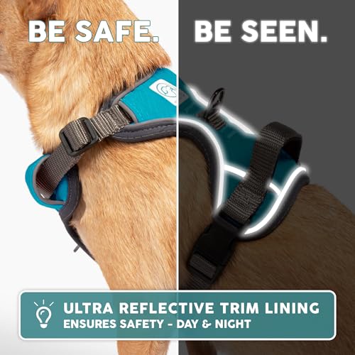 Embark No Pull Dog Harness (L / Blue)