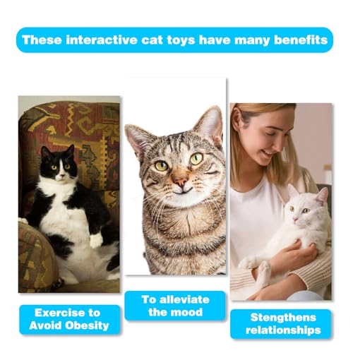 Retractable Cat Toy Wand 12 Packs Interactive Cat Feather Toys (12 PCS)