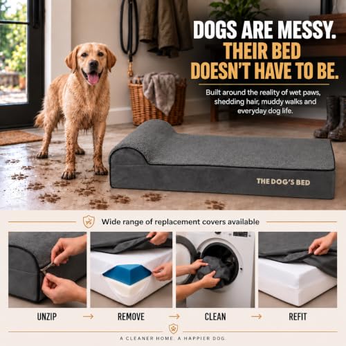 The Dog’s Bed Orthopedic Memory Foam Dog Bed with Headrest Large (Grey Plush / L (40"L x 25"W x 6"Th))