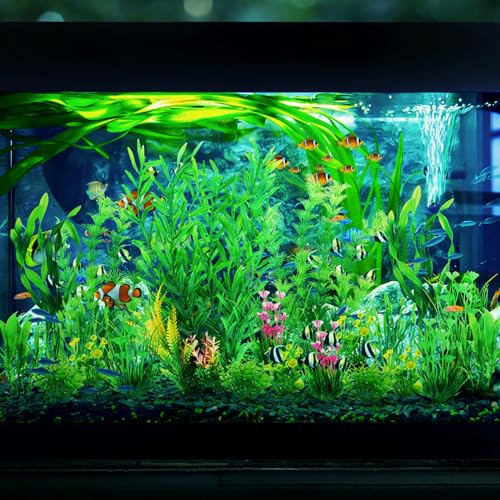 Fish Tank Plants