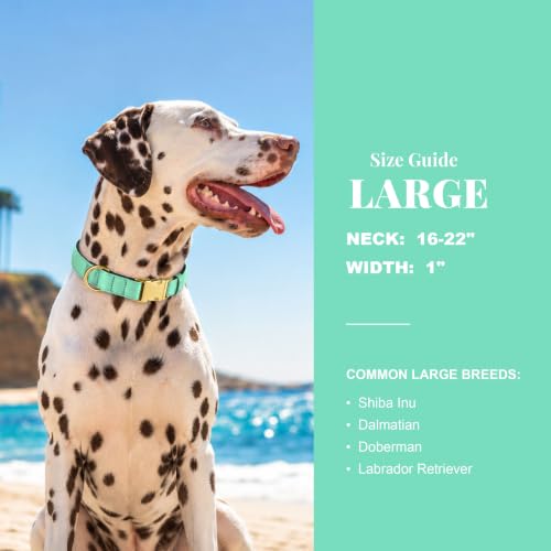 Soft Padded Dog Collar for Large Dogs (Teal / L：Fit 16-22" Neck, Width 1")