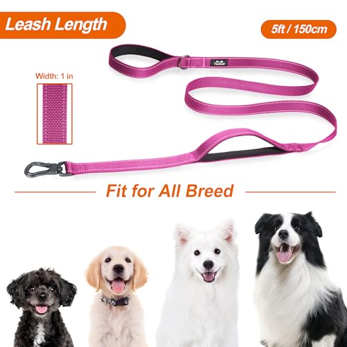 5FT 1IN Heavy Duty Dog Leash for Large Dogs with 2 Padded Handles (Rose / 1 in x 5 ft)