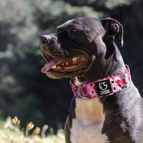 Heavy Duty Tactical Dog Collar with Patch (L/XL – Fits Neck 19.5"-23.5" / Camo Pink)