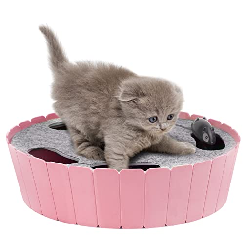 Interactive Cat Toy with Running Mouse (P-Pink)