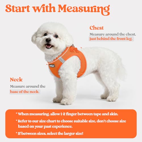 Dog Harness Small Sized and Leash Set (Orange / Xs (chest: 13.3 - 15.5"))