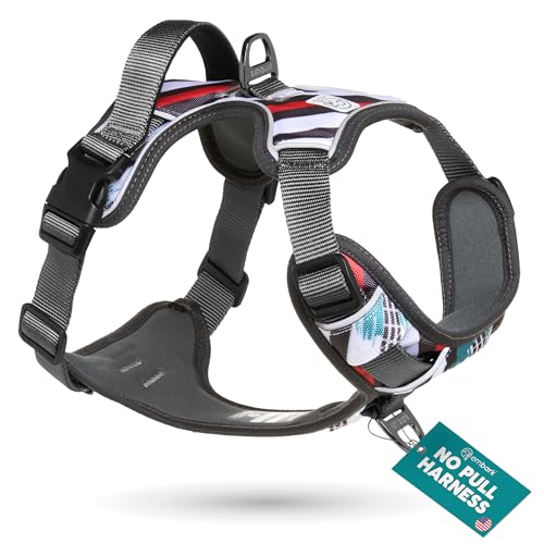 Embark No Pull Dog Harness (S / Maverick)