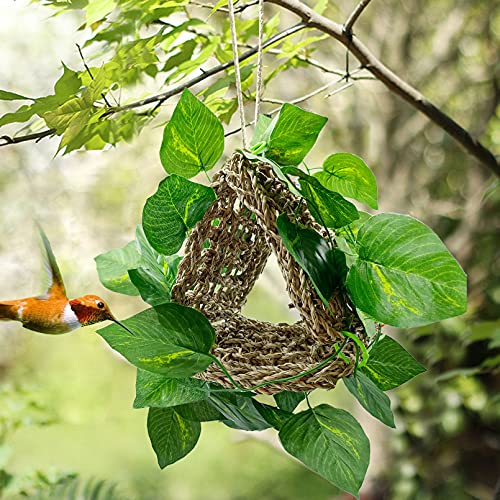 3 PCS Parrot Seagrass Mat