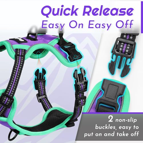 Dog Harness for Small Dogs (X-Small / Purple & Turquoise)