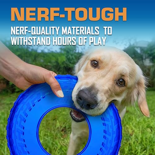 Tire Flyer Dog Toy Gift Set (Multicolor / 10 Inch (Pack of 3))