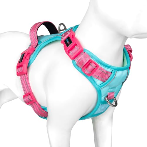 No Pull Dog Harness (Mint Green Base & Pink Straps / Large)
