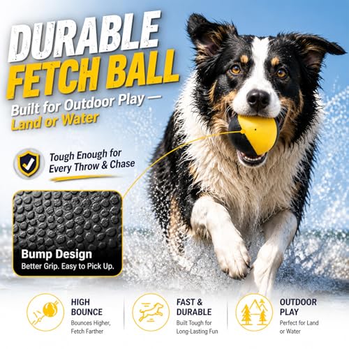 Squeaky Balls for Dogs (YellowBlack)