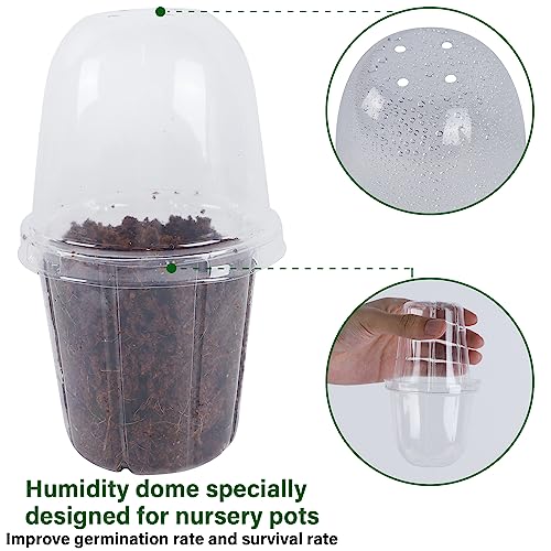 36 Set Nursery Pots with Humidity Dome (Clear)