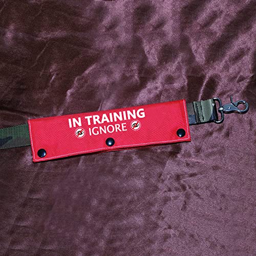 Funny Dog Leash Sleeve Have in Training Ignore Dog Leash Wrap Wrap Alert Hanging ID Patch Tag Pet Birthday Gift (Training Ignore-Sleeve)
