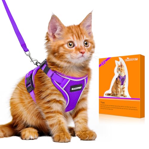 Cat Harness and Leash Set (H600 Pro Purple / X-Small (4-6lb))