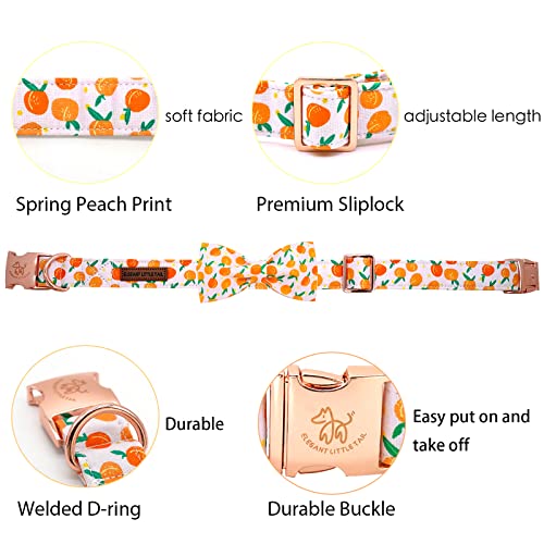Dog Collar Peach Pattern Pet Collars with Bow Girl (Peach / X-Small (Pack of 1))