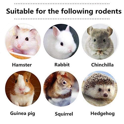 600g Guinea Pig and Rabbit Chew Toys (600g)