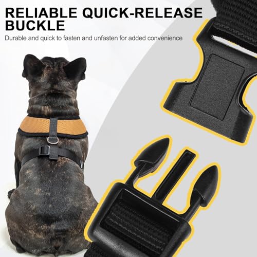 Small Dog Harness (L (NECK: 17", CHEST: 18.8"-24") / Beige)