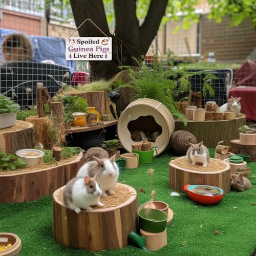 Big Hamster Ball & Guinea Pig Hideout (007)