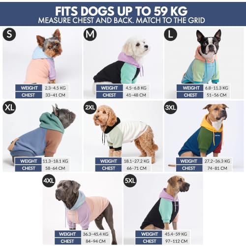 Dog Hoodie Buttery (Teal / X-Large)