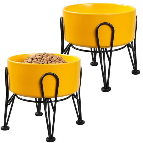 Elevated Dog Bowls (Yellow / 3.6 Cups | 2 Pack | For Medium Dogs)