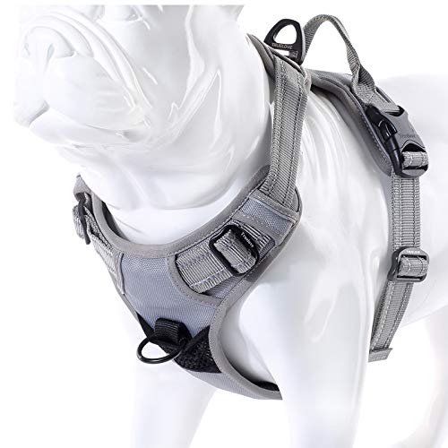Truelove No Pull Dog Harness with Easy Control Handle and 2 Leash Attachments (Medium / Gray)