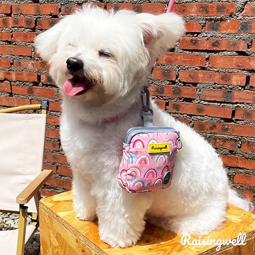 Dog Treat Pouch for Pet Walking and Training with Clicker Poop Bags Small Fanny Zipper Pack Holder for Puppy Snack Dispenser Kit for Leash and Outdoor Use (One Bag / b4.Rainbow1)