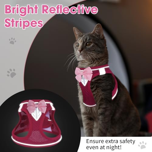 Cat Vest Harness and Leash Set (Pink / S)