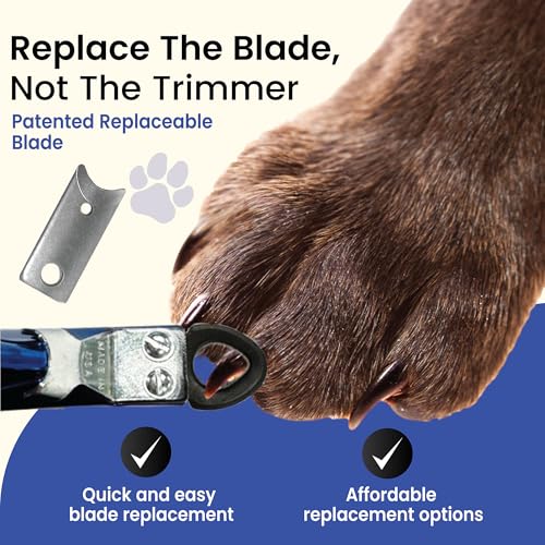 Guillotine Dog Nail Clippers for Large Dogs (Electric Blue / Large)