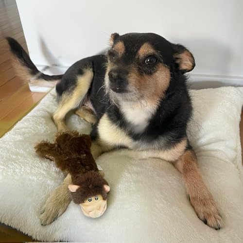 2-in-1 Stuffless Squeaky Dog Toy - Monkey, Small (Dark Brwon/Monkey / Small)