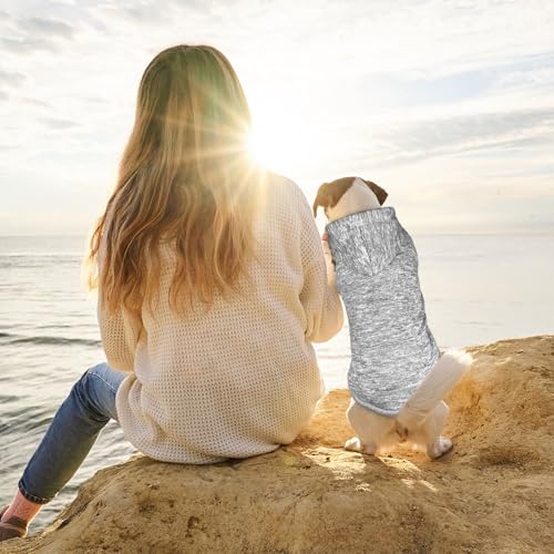 Dog Sweaters for Small Dogs Hoodie Fleece Dog Sweater Soft Clothes Sweatshirt with Pocket Hoodie for Small Dogs Puppy (Small / Grey)