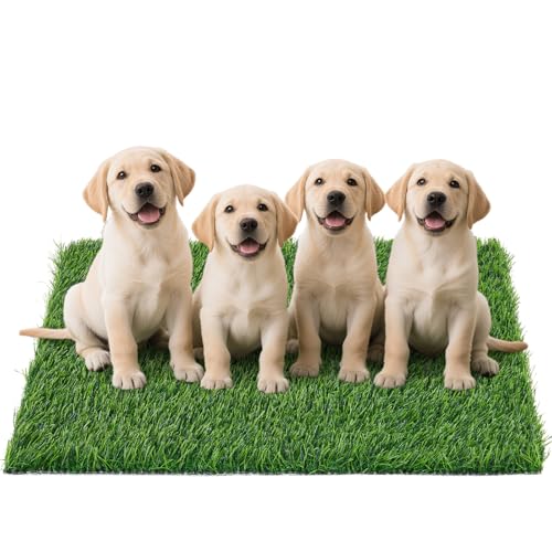 Replacement Artificial Grass Pee Pads for Dogs Potty Training to Pee & Poop (XXL-43.7"x27.5")