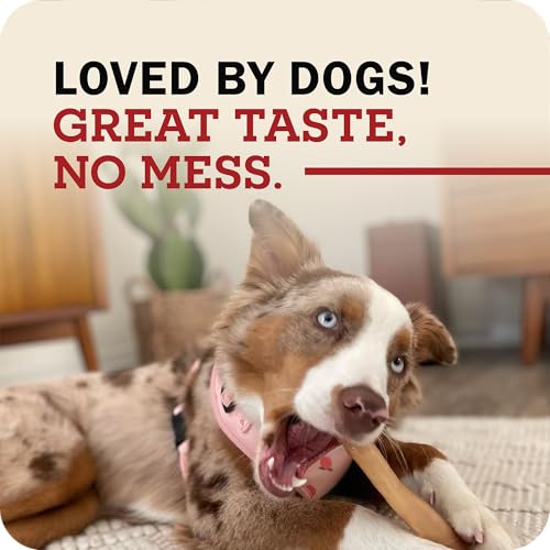 Redbarn Small Collagen Sticks 100% Natural Beef Dog Chew (Small / 1 Count (Pack of 5))