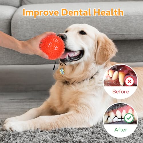 6 Pack 2.5” Squeaky Dog Toy Balls (2.5" (Small Dog) / Set of 6)