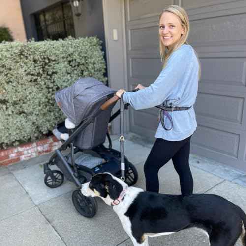 Heavy Duty Dog Leash for Large Dogs (Violet)