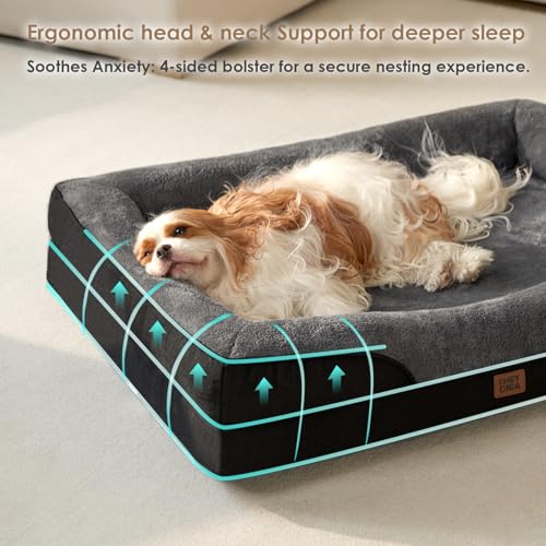 Orthopedic XXL Dog Bed for Large Dog (Grey/Black / 52x41x8)