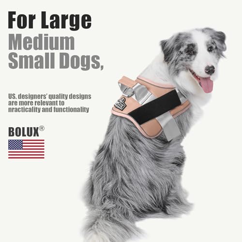 Dog Harness No (Small (Pack of 1) / RosePink)