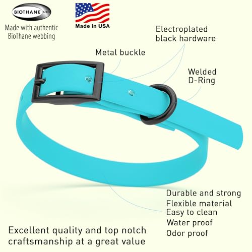 Biothane Waterproof Dog Collar Strong Coated Nylon Webbing with Black Hardware Odor (W1/2" x L9-12" / Sky Blue)