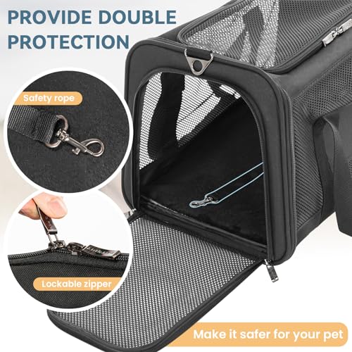 19 x 12 x 12 Large Cat Carrier (19.0"L x 12.0"W x 12.0"H / Z-Black)